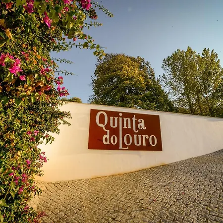 Quinta Do Louro Landhaus *